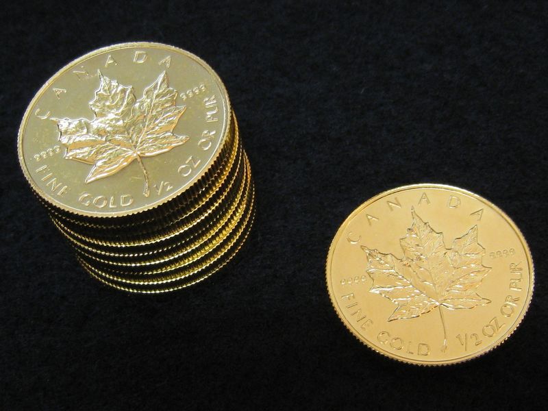 メイプルリーフ金貨 1/2オンス コイン | のみの市